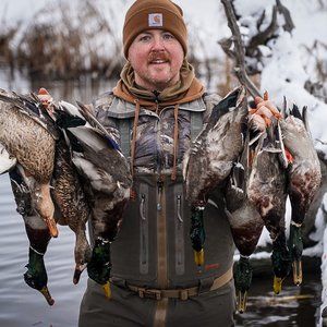 Meet your Posher, Austin